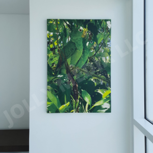 custom size canvas prints by Jolly Media